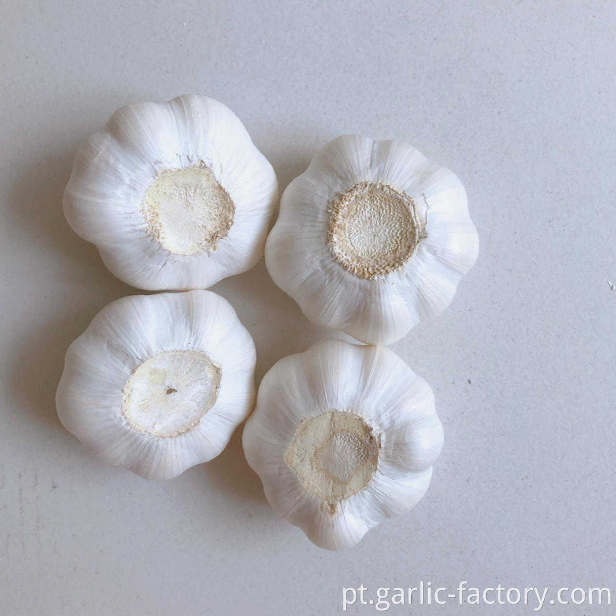 Pure white garlic and normal white garlic